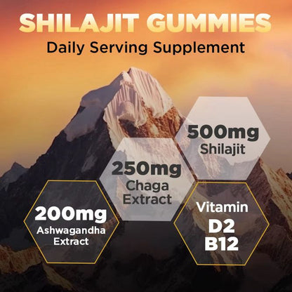 Shilajit Himalayan