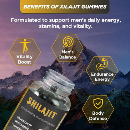 Shilajit Himalayan