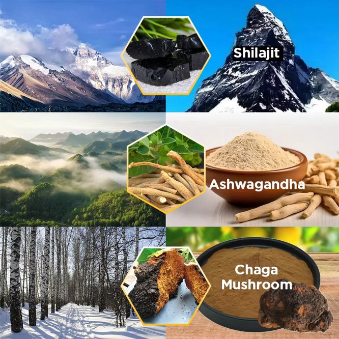 Shilajit Himalayan
